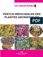 Vertus Medicinales Des Plantes Aromatiques