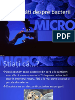 Bacterii