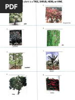 Rough and Smooth Objects Examples | PDF