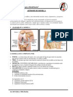 ARTROSIS DE RODILLA-3.docx