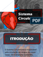 Sistema Circulatório