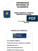 Como Desarrollar El Informe de Su Practica PDF