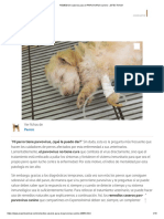 REMEDIOS Caseros para El PARVOVIRUS Canino - ¡EFECTIVOS! PDF
