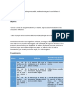 Fermentación y globos: efecto de la temperatura