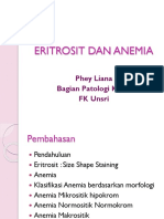 15 - RBC, Anemia Blok 11 2019