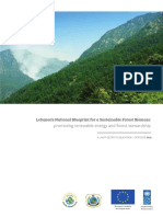 4-Biomassblueprint PDF