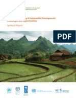 Undp Synthesis Report PDF