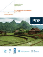 undp_synthesis_report.pdf