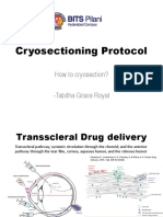 Cryosectioning Protocol