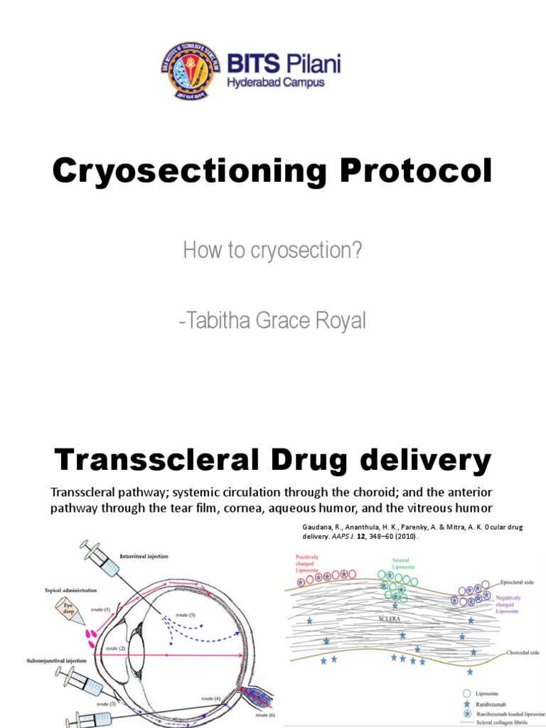 Cryosectioning Protocol PDF Fixation (Histology) Chemistry
