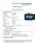 Curriculum Vitae (Recuperado)