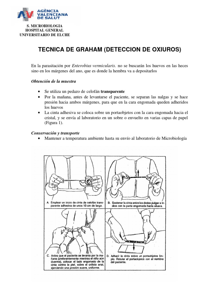 Técnica de Graham para oxiuros | PDF