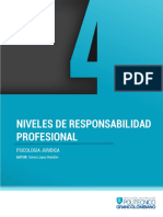 s7 Niveles de Respondabilidad Profesional.