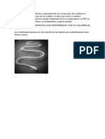 ¿Las serpientes son Vertebrados.docx