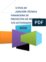 Directiva de Liq. Kimbiri- 2015