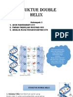 DNA-STRUKTUR