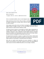 O cigano do oriente release - comercial.pdf