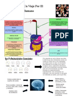 Triptofanito Un Viaje Por El Cuerpo Humano