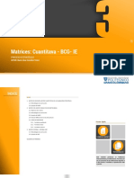 CS6 CUANTITAVA-BCG-IE.pdf