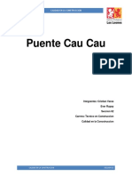 Informe CAU CAU.pdf