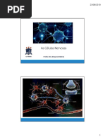 Células Nervosas