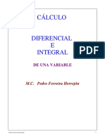 Calculo I  [Diferencial e Integral de Una Variable] [M.C. Pedro Fereira Herrejon].pdf