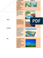 Conceptos clave de ecología en