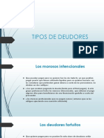 Tipos de Deudores