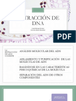 Extracción de DNA.pdf