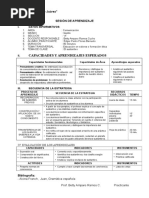 10 SESIONES DE APRENDIZAJE