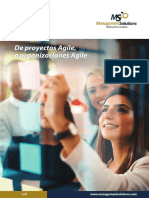De proyectos Agiles a Organizaciones Agiles.pdf