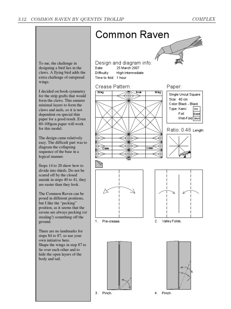 Step-by-Step Origami Raven Guide | PDF | Nature
