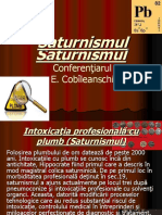 Saturnizm PDF