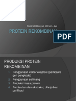Protein Rekombinan