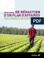 Guide Dered Action Plan Affaires