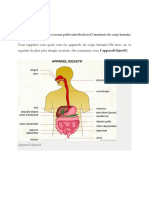 Appareil Digestif