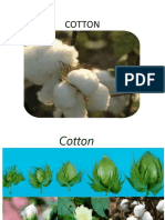 6 A.cotton, Coir, Kapok PDF