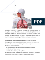 Appareil Respiratoire