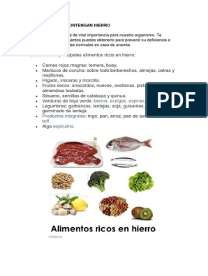 Alimentos Que Contengan Hierro | PDF