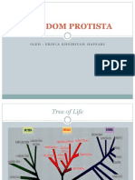 PPT Kingdom Protista PDF