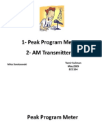 Peak Program Meter - AM transmitter - DSP Tamir Suliman