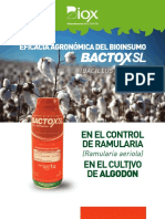algodon-bactoxSL Sobre Ramularia Areola
