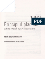 Principiul Placebo - Antje Maly-Samiralow