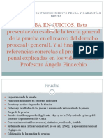 PRUEBA_EN_JUICIOS