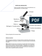 Partes Del Microscopio