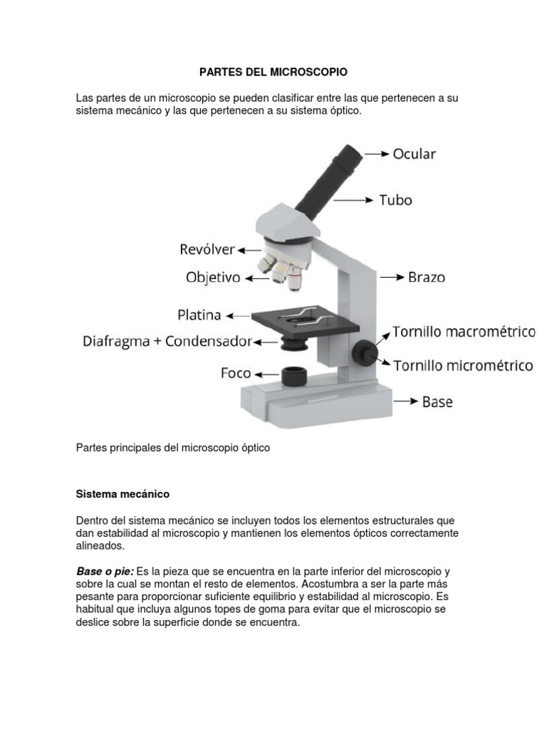 Partes Del Microscopio PDF | Lente de la cámara | Óptica