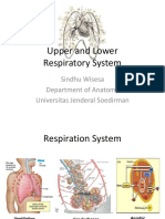 k10 Upper and Lower Resp System - Sindhu Wisesa