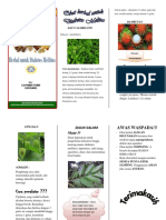 LEAFLET Herbal DM