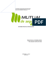 Informe Practica Profesional