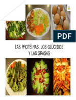Las Proteinas Los Glucidos y Las Grasas PDF